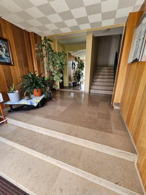 Charmant Appartement Moderne 71M2 A Illzach - Mulhouse - Parking Gratuit Екстериор снимка