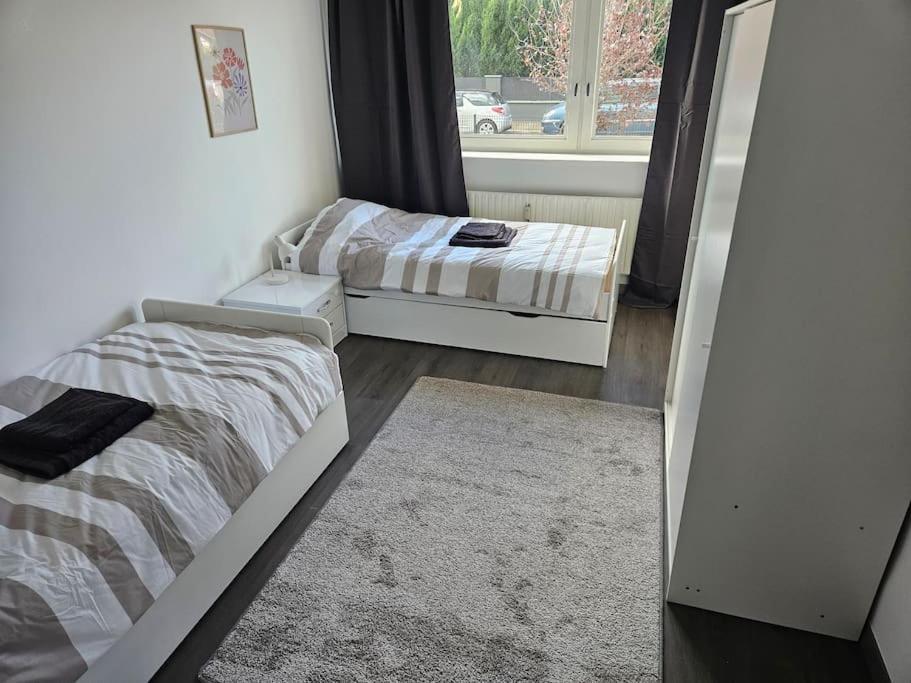 Charmant Appartement Moderne 71M2 A Illzach - Mulhouse - Parking Gratuit Екстериор снимка